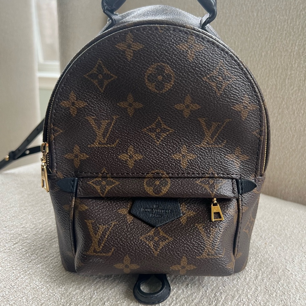 Louis Vuitton Palm Springs Mini